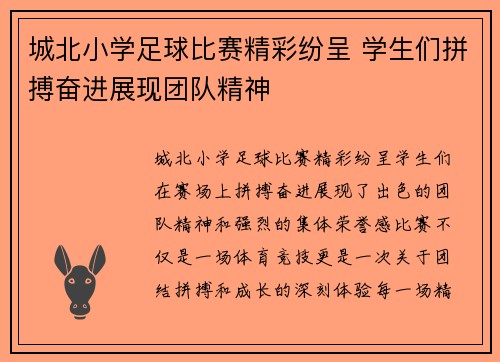 城北小学足球比赛精彩纷呈 学生们拼搏奋进展现团队精神