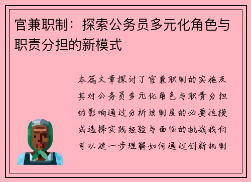 官兼职制：探索公务员多元化角色与职责分担的新模式